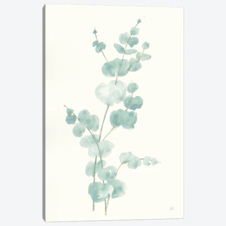 Eucalyptus Branch II Canvas Print #CPA94} by Chris Paschke Canvas Art Print