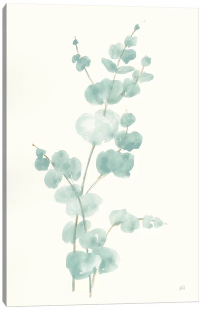Eucalyptus Branch II Canvas Art Print - Chris Paschke