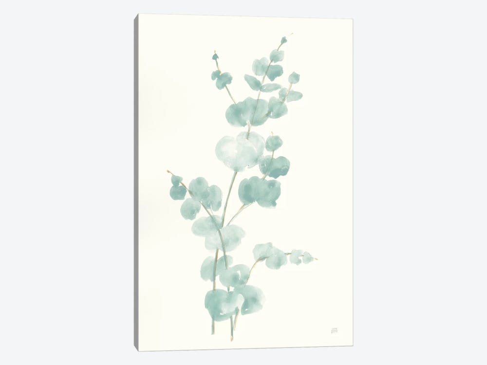 Eucalyptus Branch II by Chris Paschke 1-piece Canvas Print