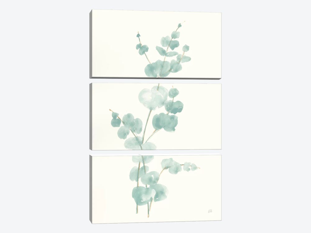 Eucalyptus Branch II by Chris Paschke 3-piece Art Print