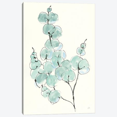 Eucalyptus Branch III Canvas Print #CPA95} by Chris Paschke Canvas Art Print
