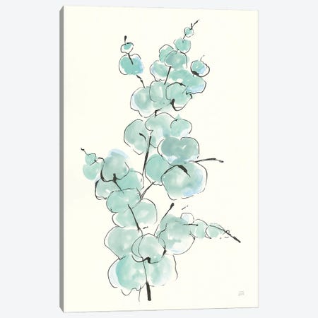 Eucalyptus Branch IV Canvas Print #CPA96} by Chris Paschke Canvas Art Print