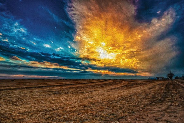Post Harvest Sunset