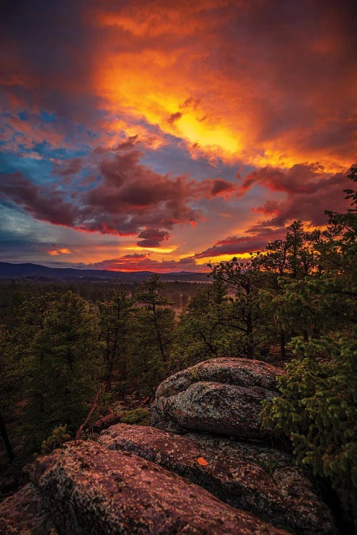 Red Feather Sunset by Christopher Thomas wall art