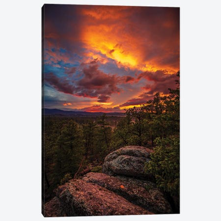 Red Feather Sunset Canvas Print #CPH108} by Christopher Thomas Canvas Print