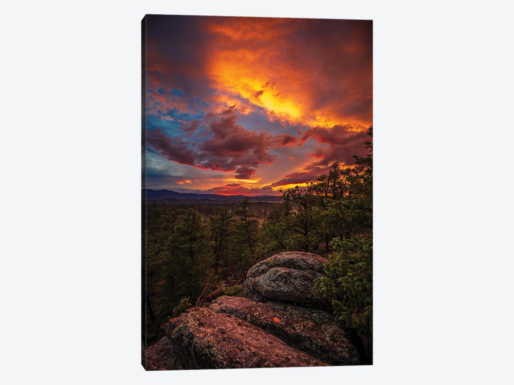 Red Feather Sunset by Christopher Thomas 1-piece Canvas Print