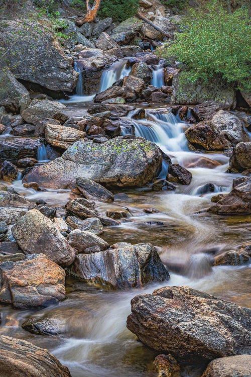 Rocky Mountain Stream