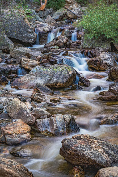 Rocky Mountain Stream by Christopher Thomas wall art