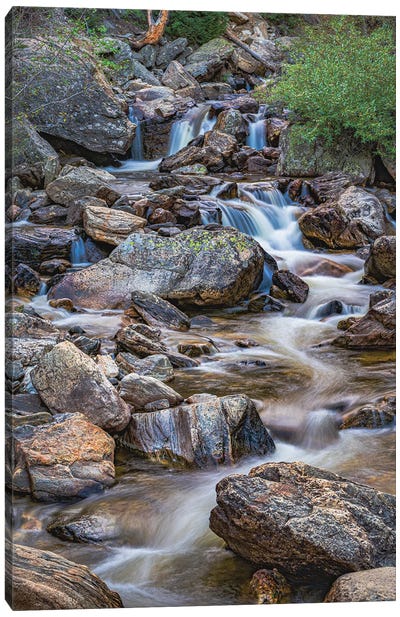 Rocky Mountain Stream Canvas Art Print - Christopher Thomas