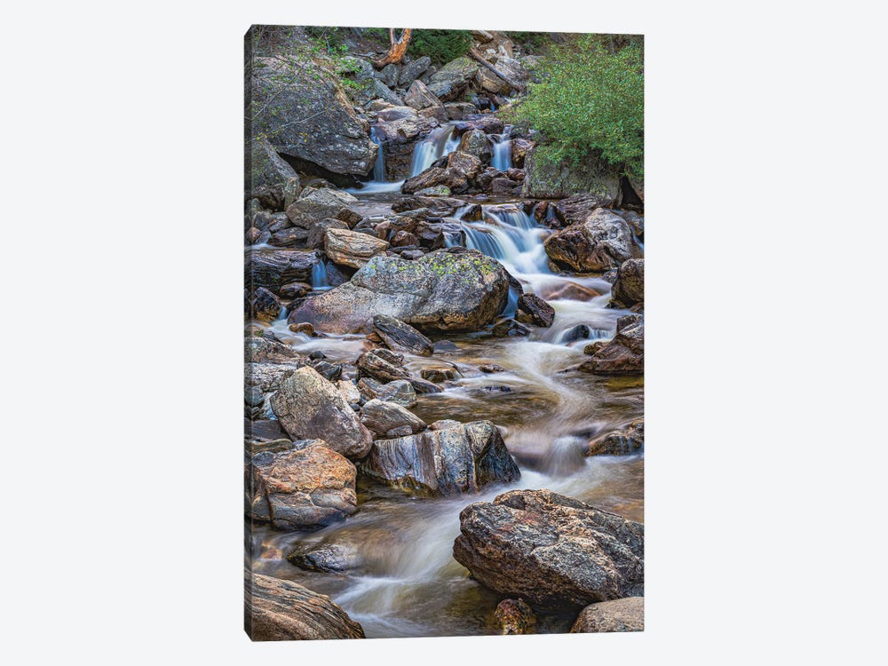 Rocky Mountain Stream by Christopher Thomas 1-piece Canvas Wall Art