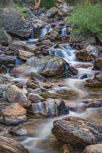 Waterfalls: Rocky Mountain Stream by Christopher Thomas