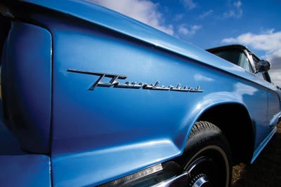 Sky Blue Thunderbird by Christopher Thomas framed canvas print