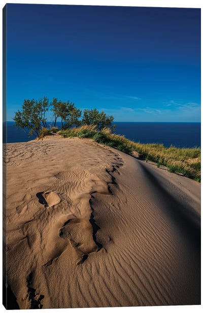 Sleeping Bear Dunes Canvas Art Print - Coastal Sand Dune Art