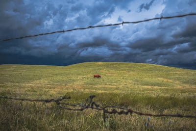 Southern Wyoming Solitude by Christopher Thomas framed canvas print