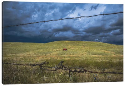 Southern Wyoming Solitude Canvas Art Print - Christopher Thomas