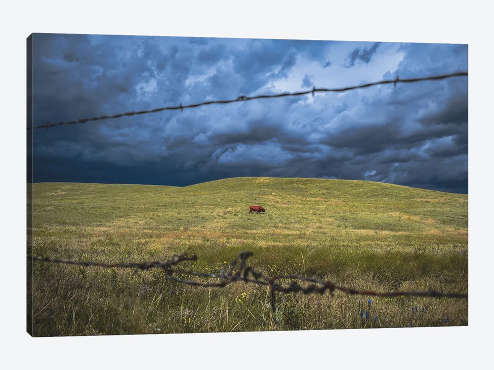 Southern Wyoming Solitude by Christopher Thomas 1-piece Canvas Art Print