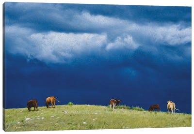 Stormy Ridgeline Grazers Canvas Art Print - Christopher Thomas
