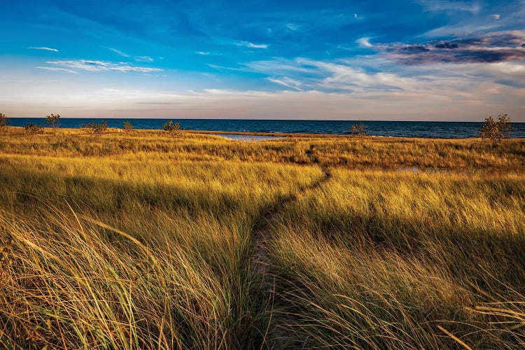 The Huron Coast by Christopher Thomas wall art