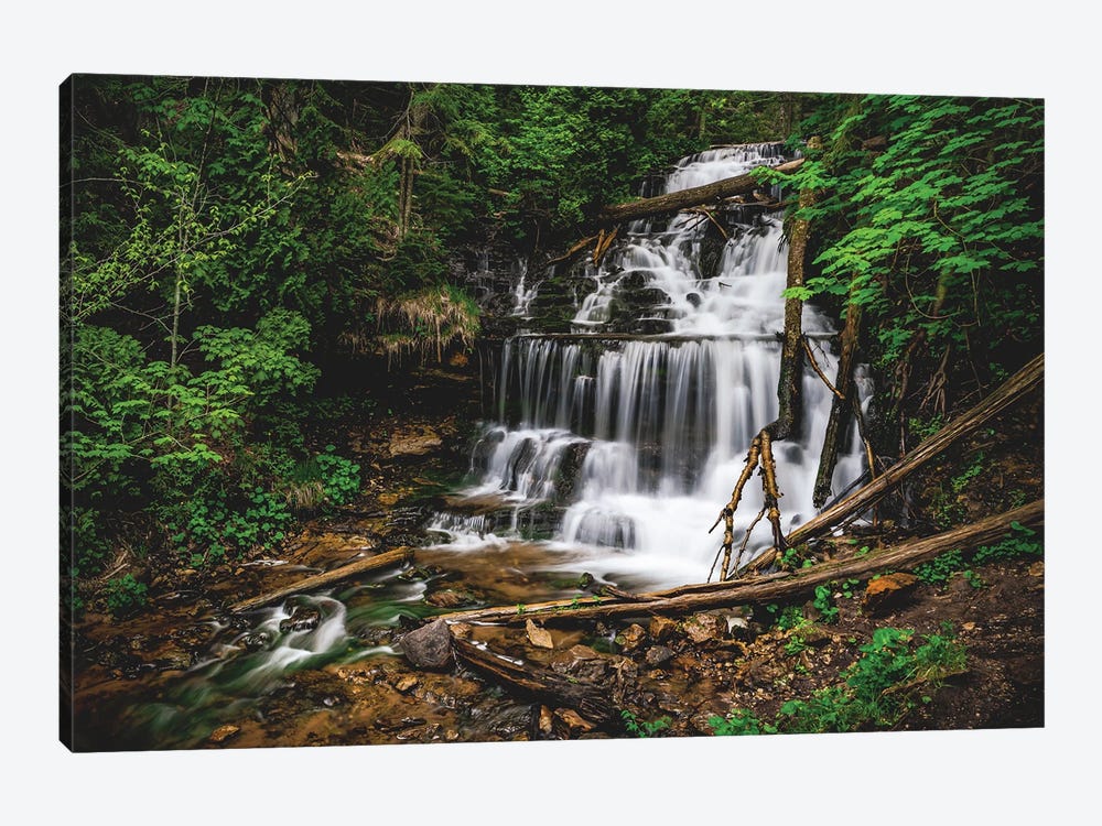 Wagner Falls by Christopher Thomas 1-piece Canvas Wall Art