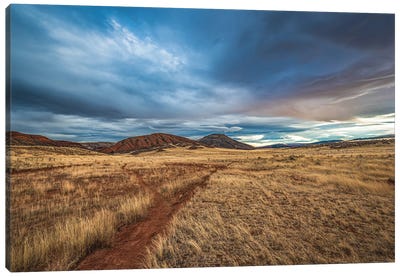 Wide Open Countryside Canvas Art Print - Christopher Thomas