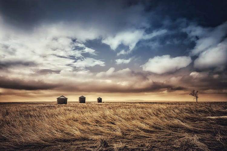 Windswept Grasslands by Christopher Thomas wall art