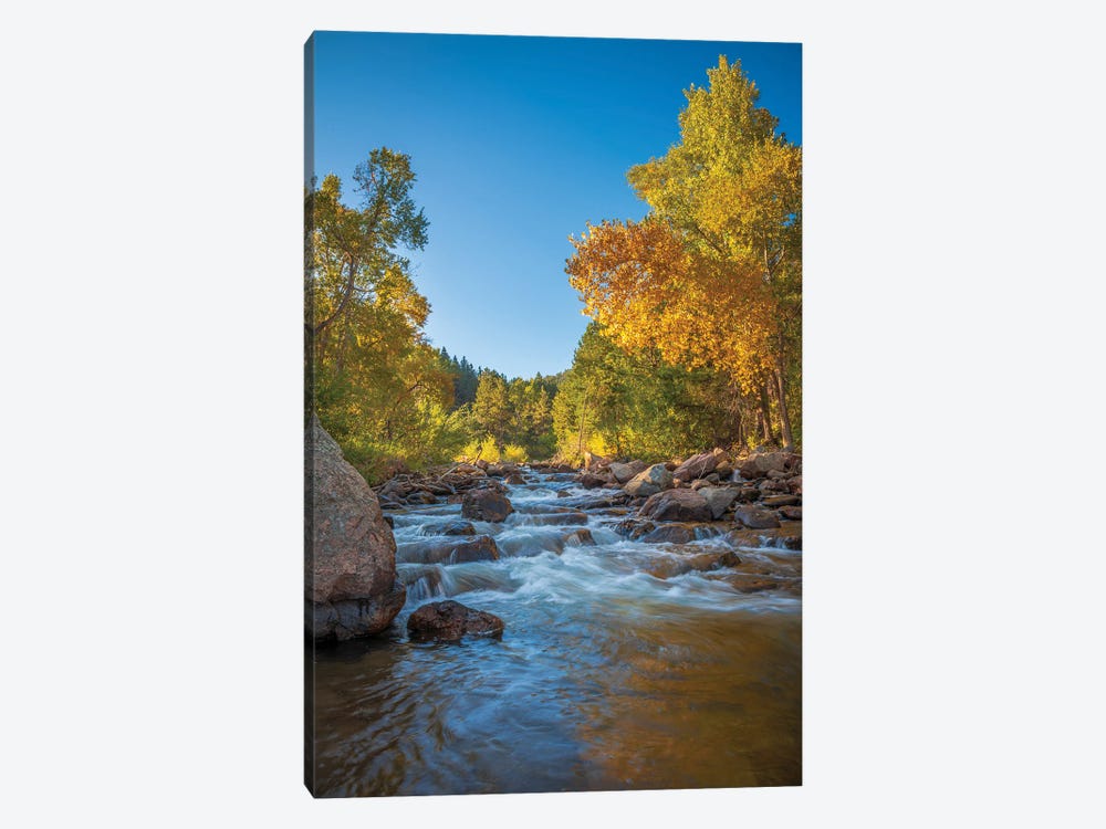 Autumn Morning On Left Hand Creek by Christopher Thomas 1-piece Canvas Wall Art
