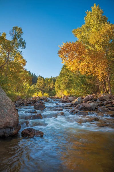 Autumn Morning On Left Hand Creek