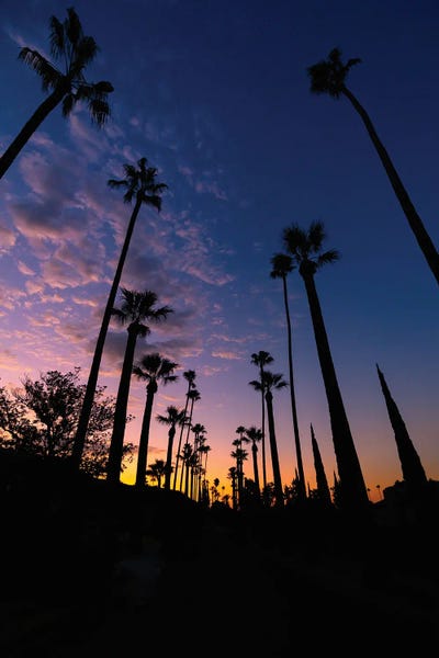 Waking Up Socal by Christopher Thomas metal wall art