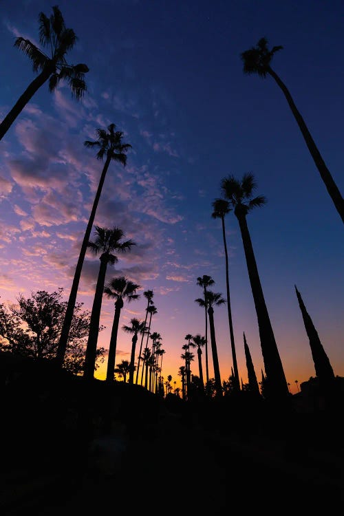 Waking Up Socal by Christopher Thomas wall art