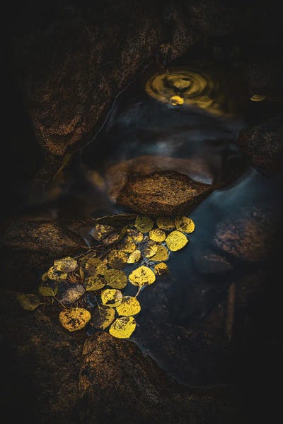 River Of Gold by Christopher Thomas canvas print