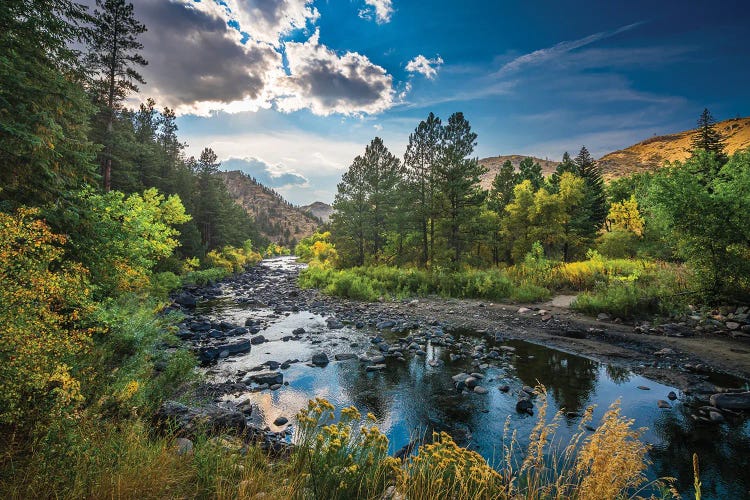 Cache La Poudre Autumn by Christopher Thomas wall art