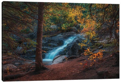 Disappointment Falls In Autumn Canvas Art Print - Christopher Thomas