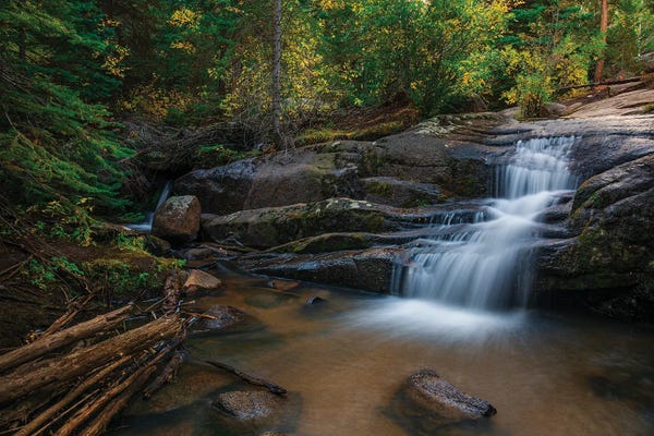 Hidden Forest Cascade
