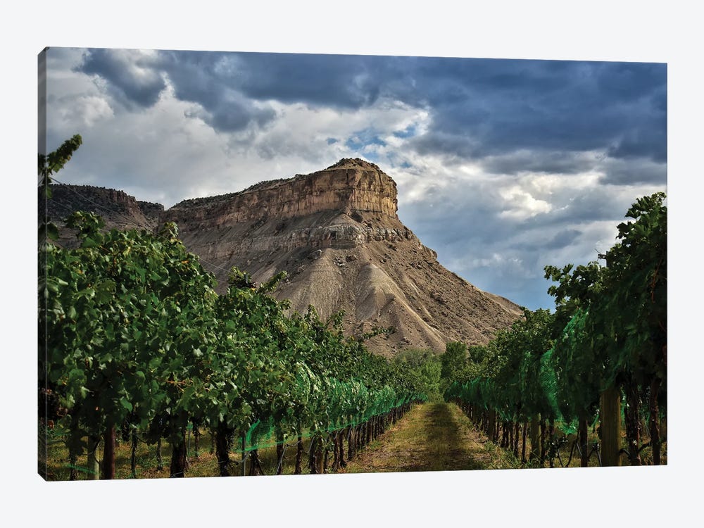 Colorado Wine Country by Christopher Thomas 1-piece Canvas Art Print