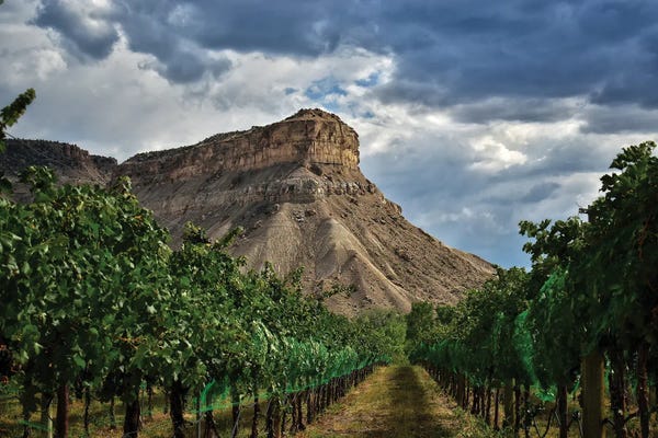 Colorado: Colorado Wine Country by Christopher Thomas