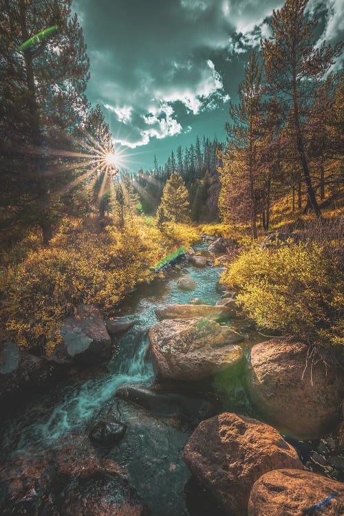 Commanche Peak Wilderness Stream In Autumn