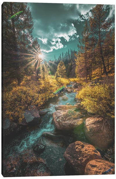 Commanche Peak Wilderness Stream In Autumn Canvas Art Print - Christopher Thomas
