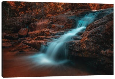 Disappointment Falls Canvas Art Print - Christopher Thomas