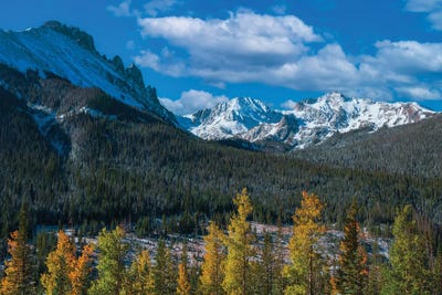 First Nokhu Snow by Christopher Thomas canvas print