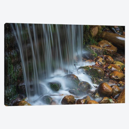 Forest Cascade Canvas Print #CPH56} by Christopher Thomas Canvas Wall Art