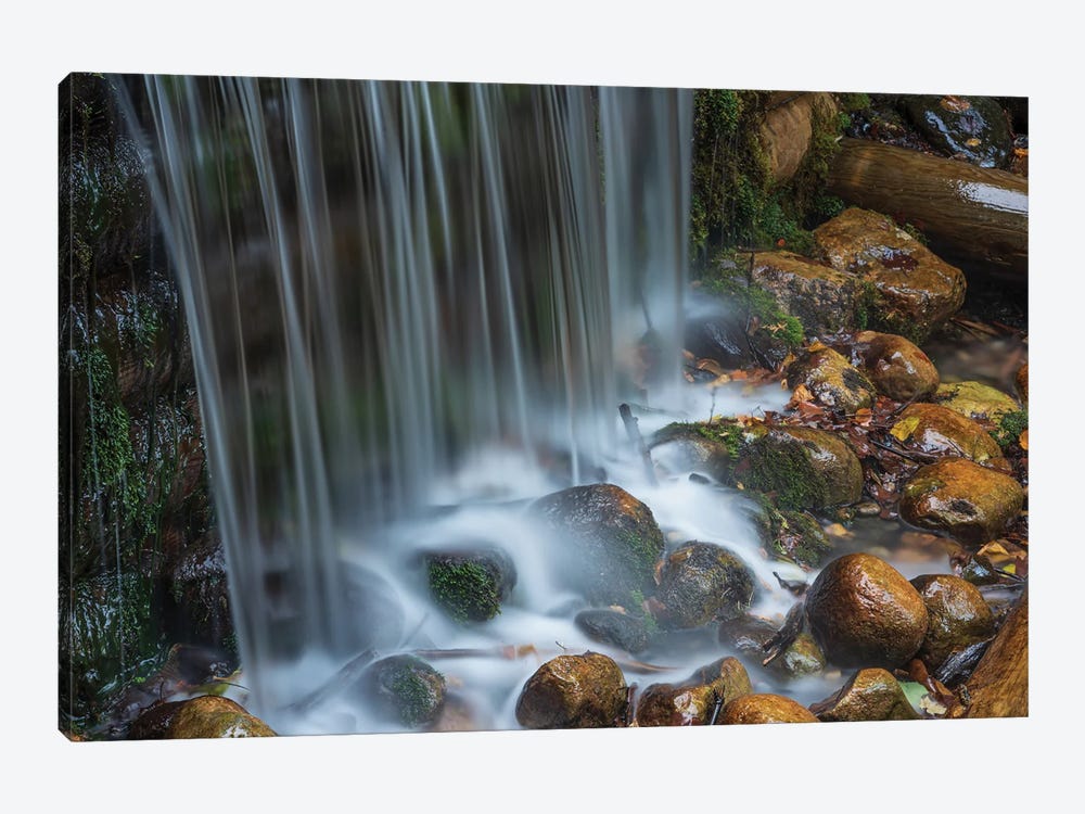 Forest Cascade by Christopher Thomas 1-piece Canvas Art Print