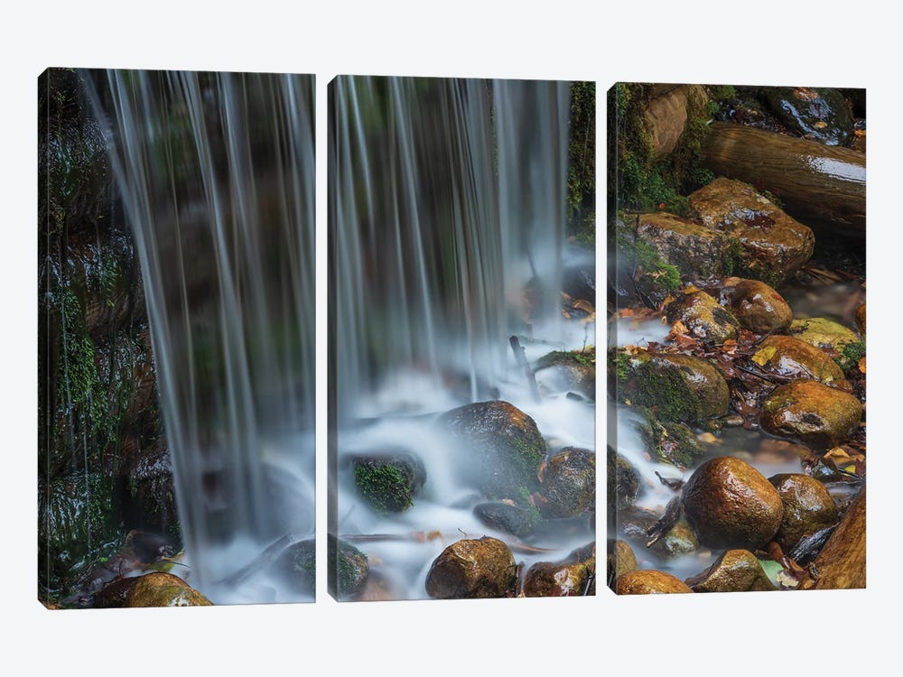 Forest Cascade by Christopher Thomas 3-piece Art Print