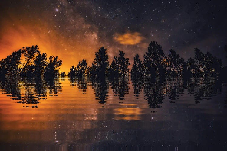 Forest Fire Fantasy