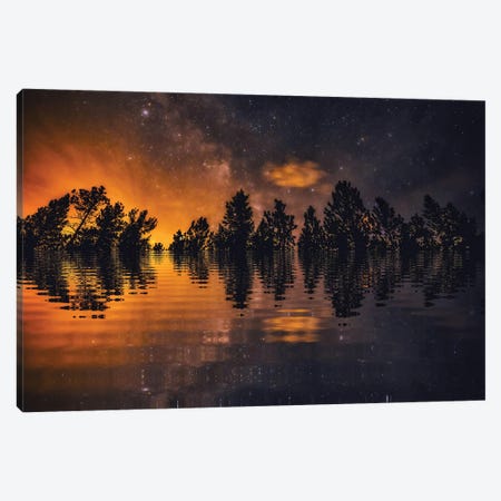 Forest Fire Fantasy Canvas Print #CPH57} by Christopher Thomas Canvas Wall Art
