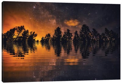 Forest Fire Fantasy Canvas Art Print - Christopher Thomas