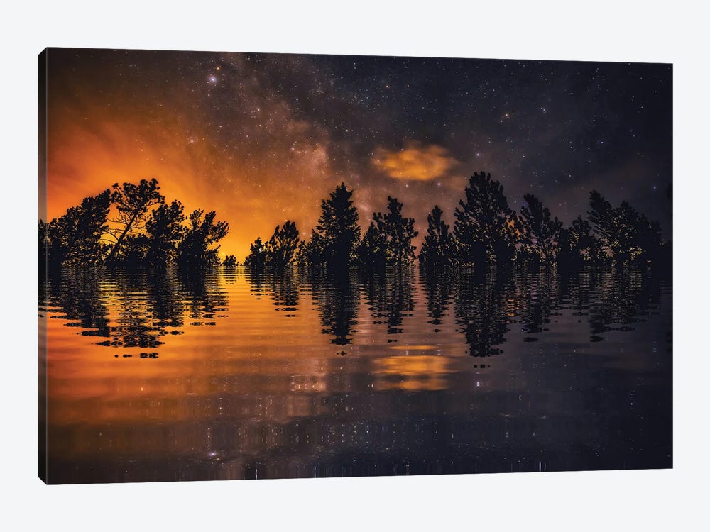 Forest Fire Fantasy by Christopher Thomas 1-piece Canvas Art