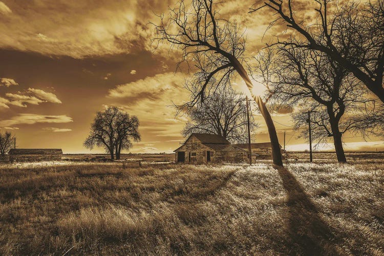 Forgotten Farm