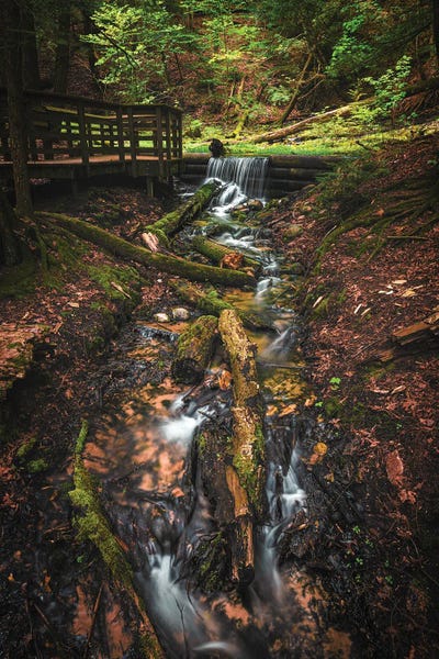 Iargo Springs Cascade