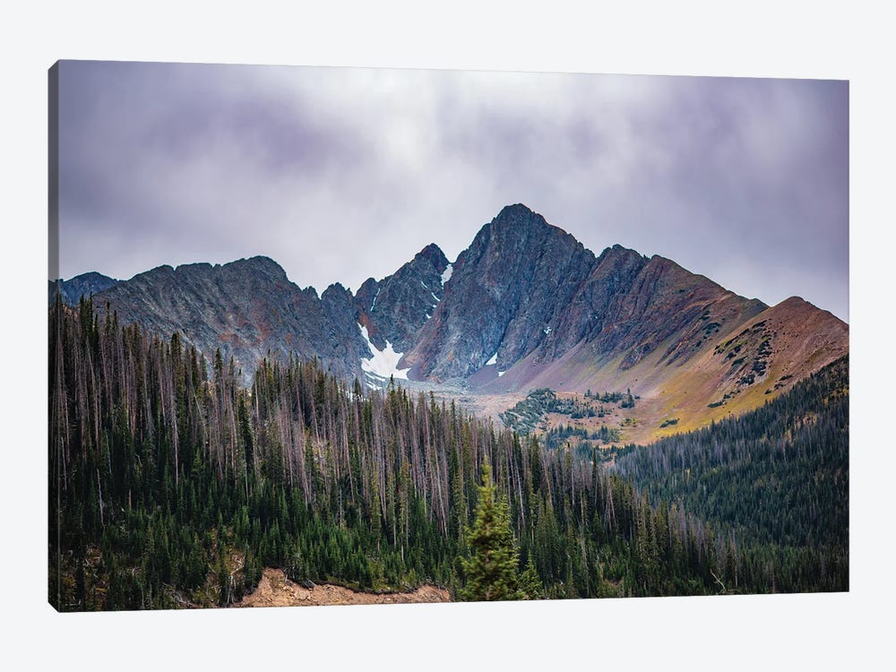 Nokhu Crags by Christopher Thomas 1-piece Canvas Artwork
