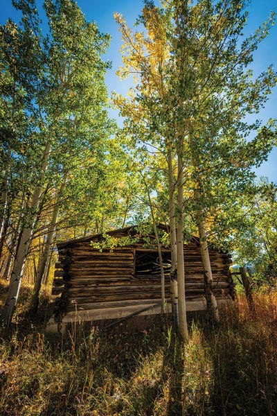 North Park Cabin by Christopher Thomas framed canvas print